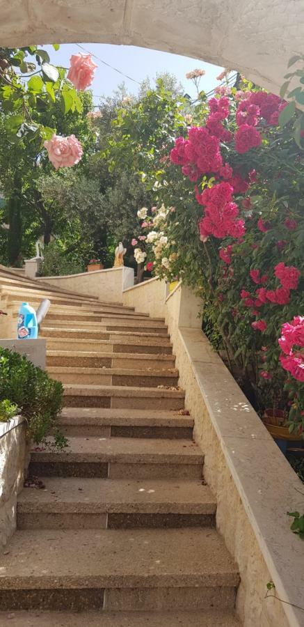 Hermon Accommodation Majdal Shams Dış mekan fotoğraf